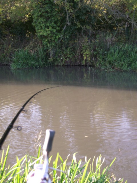 Matt Hayes Multi Float Rod Review - Coarse Fishing - Fishing Forums from  Anglers' Net